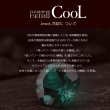 画像4: 脱毛器　Biito2 COOL　ビート２クールセット (4)