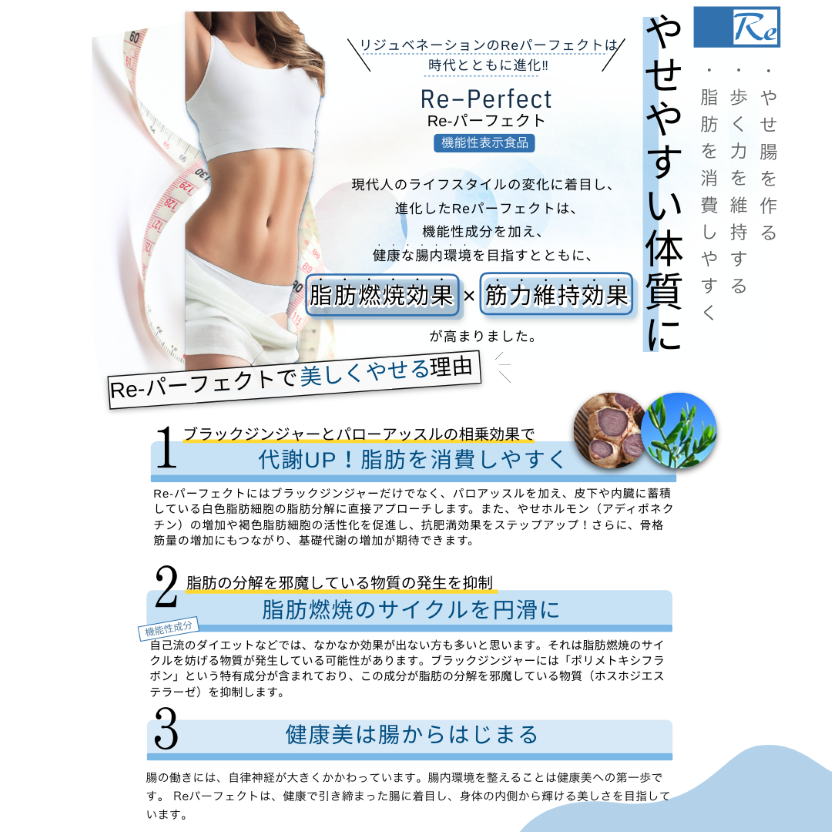 【　新商品のご案内　】